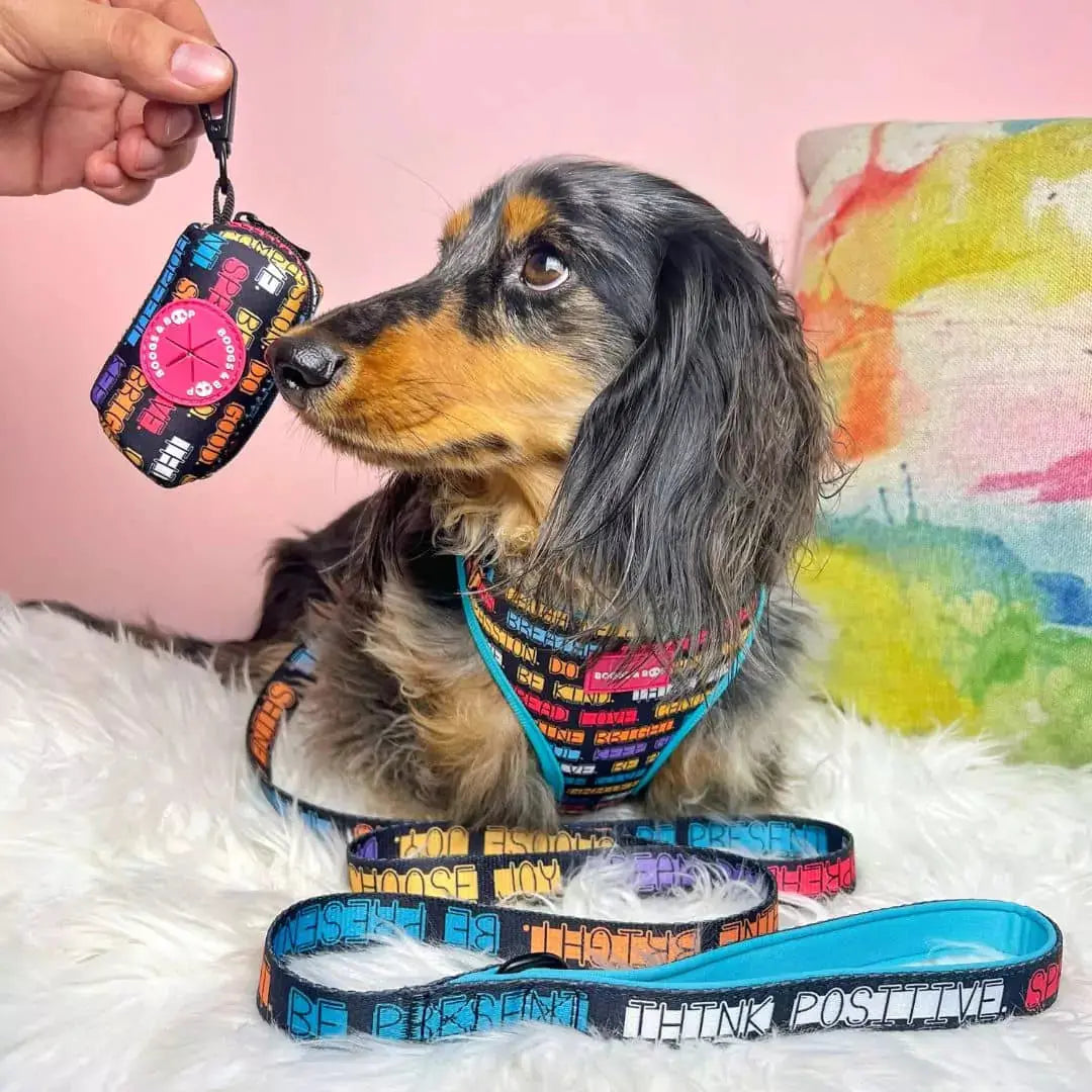 Adjustable Positive Affirmations Dog Harness