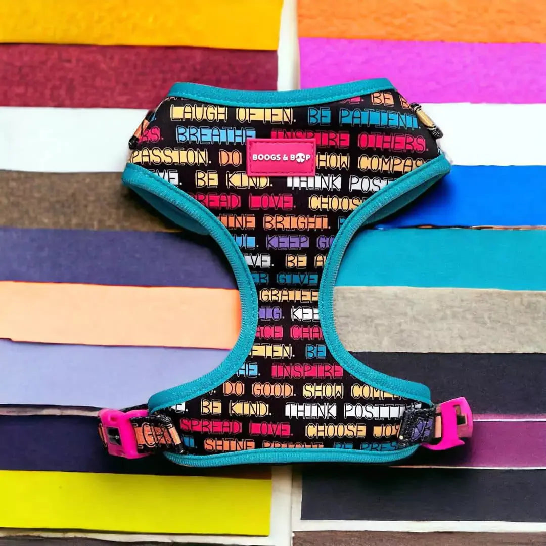 Adjustable Positive Affirmations Dog Harness