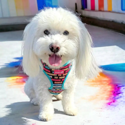 Adjustable Positive Affirmations Dog Harness